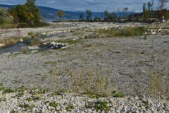 P1110539