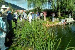 Gruppe-am-Teich