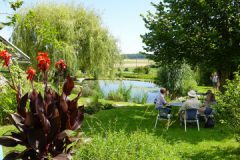 Teich-DSC00439
