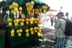 IMG_20210615_124518_1