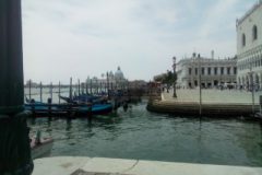 IMG_20210619_123929_7