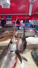 Fischmarkt Catania
