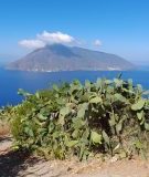 Blick auf Panarea