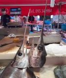 Fischmarkt Catania
