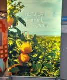 Plakat im Flughafen