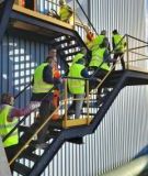 Treppensteigen20231123_145818-2